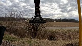 Mowing Trees Before The First Snow of the Year Season 4 Episode 49 by Ivers Farms 20,975 views 5 months ago 17 minutes