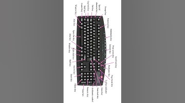 All Functions Of Keyboard Keys | KeyBoard Details #shorts #computer #keyboard