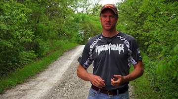 Big N Beasty is the Best Deer Food Plot Seed | Frigid Forage