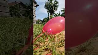 IMG 5449