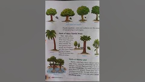 Class 4th [Science] ch-8 [Plants: Growth and survival] [part-2]