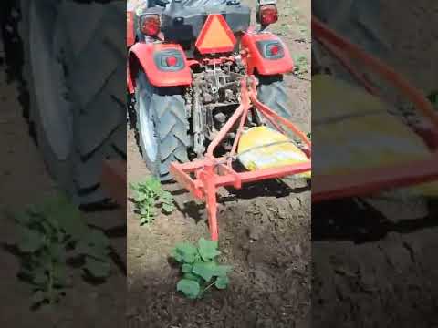 Massey Ferguson 6026