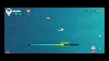 Creatures of the deep - Green Humphead Parrotfish Paradise İsland