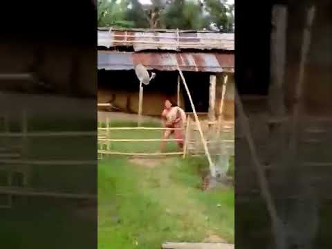 Assam new viral video northeast 2021 