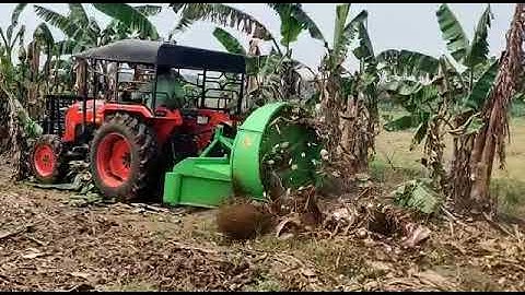 Banana Plant Mulching - Kubota MU4501