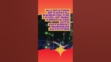 Risk-Based Capital Allocation | Risk management