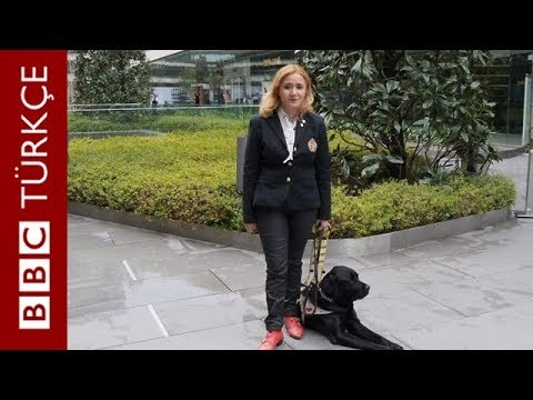 Video: Alaska Havayolları Körler İçin Rehber Köpeklere Uçuş Eğitimi Veriyor