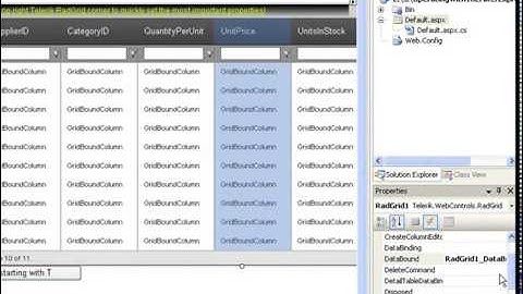 ASP.NET AJAX Grid - Operating with the Filter Expression Manually