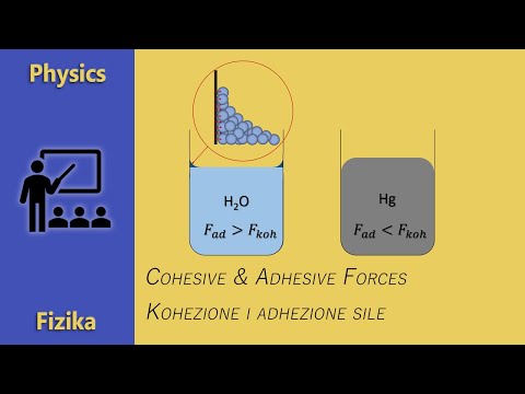 Video: Što je adhezija i kohezija u vodi?