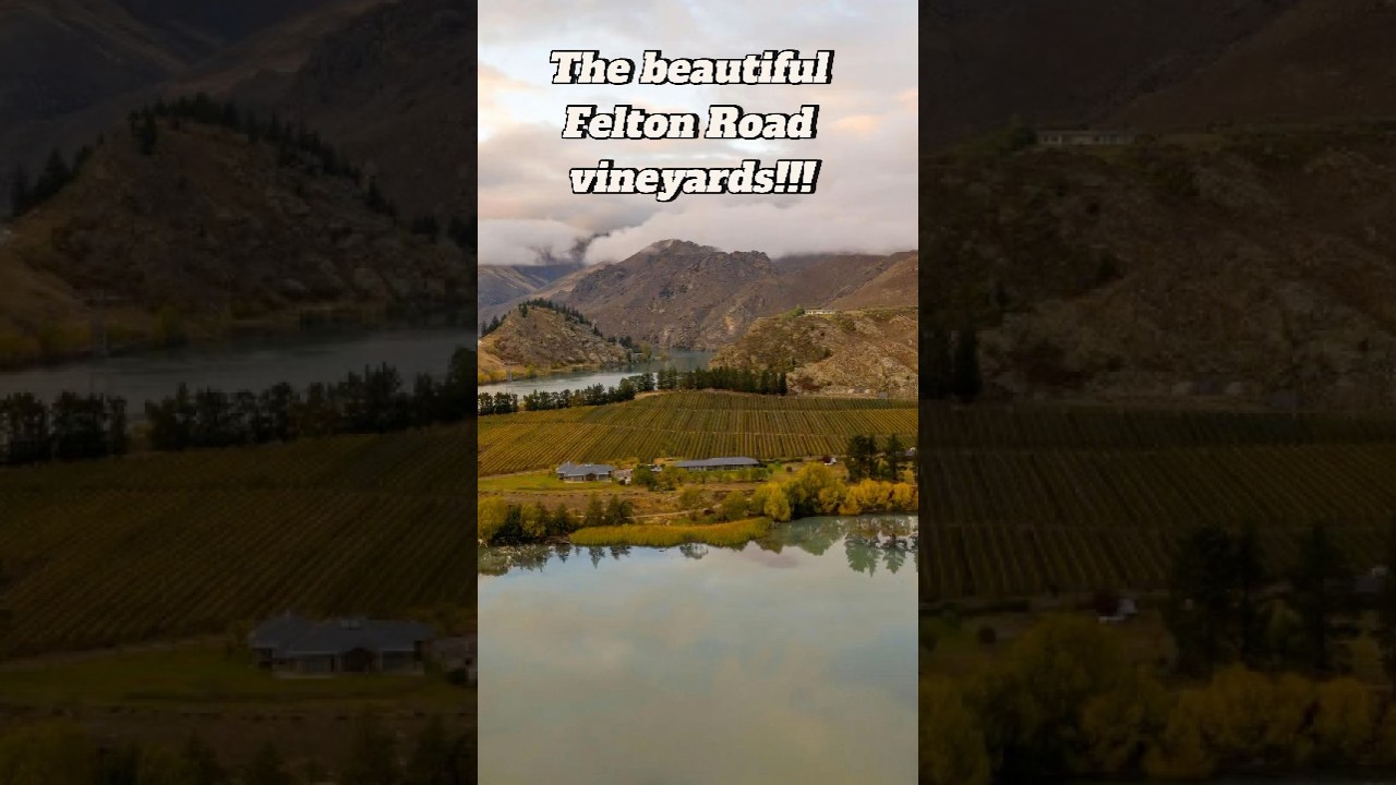 What are the Felton Road vineyard personalities?