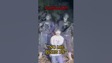 The most TERRIFYING VIDEO of the Northeast Cartel: 