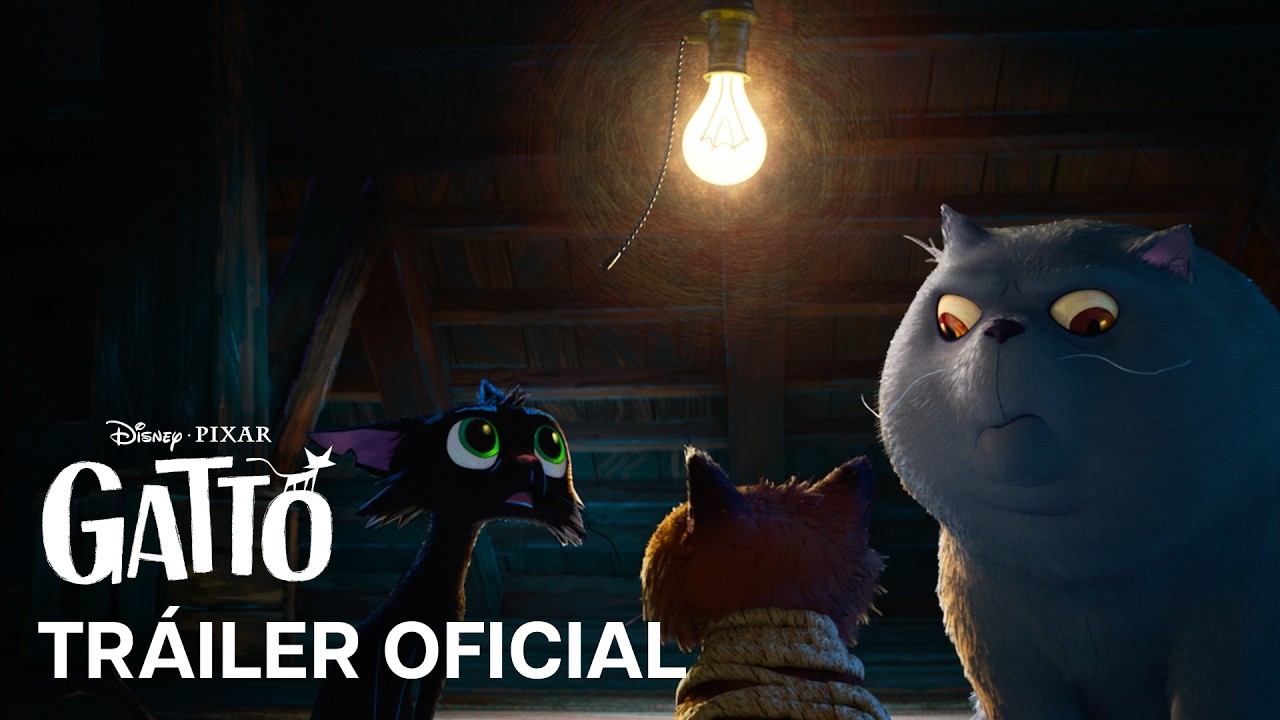 Gatto | Tráiler Oficial | Doblado