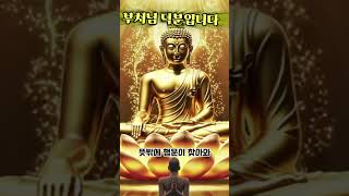 [소원성취대표기도발원문]오늘도 부처님 덕분입니다.관재수는 사라지고, 구설수소멸쌓인 업장은 자비로 소멸되며뜻밖의 행운이 찾아와 로또처럼 복이 터지고,귀인 인연 따라대운이 들어온다