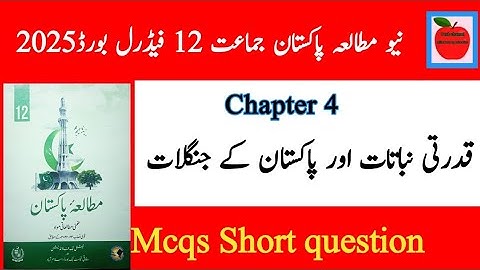 Class 12 Pakistan Studies chapter 4 | Pakistan Studies class 12 chapter 4 | bise Pak study class 12