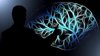 Na rubu znanosti: Što je um