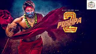 PUSHPA PUSHPA Song Promo | #Pushpa 2 The Rule Allu Arjun | Rashmika | The Gyan Tantra