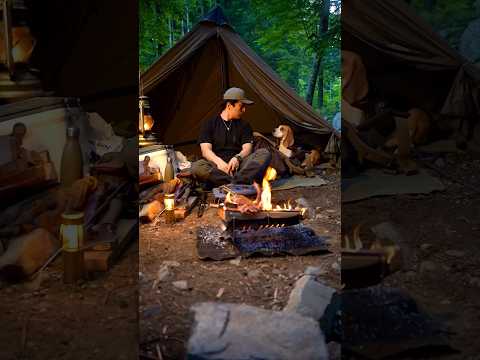 愛犬と焚火で肉を焼く #shots#bushcraft #camp #キャンプ #キャンプ飯 #ハラミ