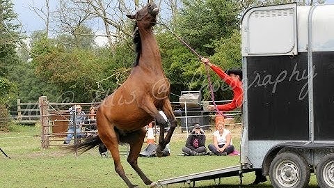 Trailer Loading problem with Mike Hughes, Auburn California
