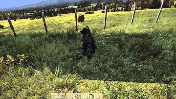 DayZ SA Melee Weapon Attacks