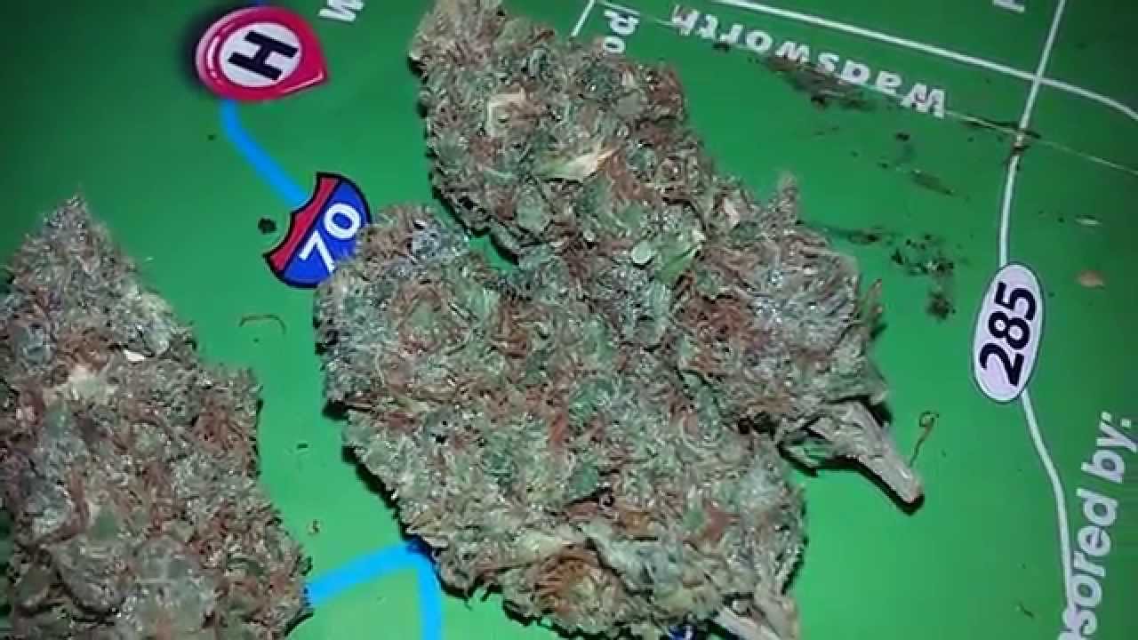 PsyGen Super Silver OG Harvest Update