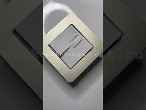 Рамка металл Platinum Шампань механизм 2 х клавишный с подсветкой, цвет белый матовый Рамка металл Platinum Шампань механизм 2 х клавишный с подсветкой, цвет белый матовый