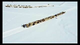 Muş Murat Köprüsü