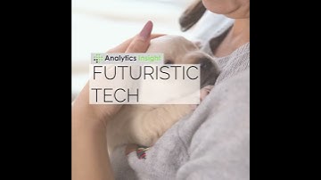 Futuristic Tech - AI-Powered Robots That Will Be Your Doggo Friends
