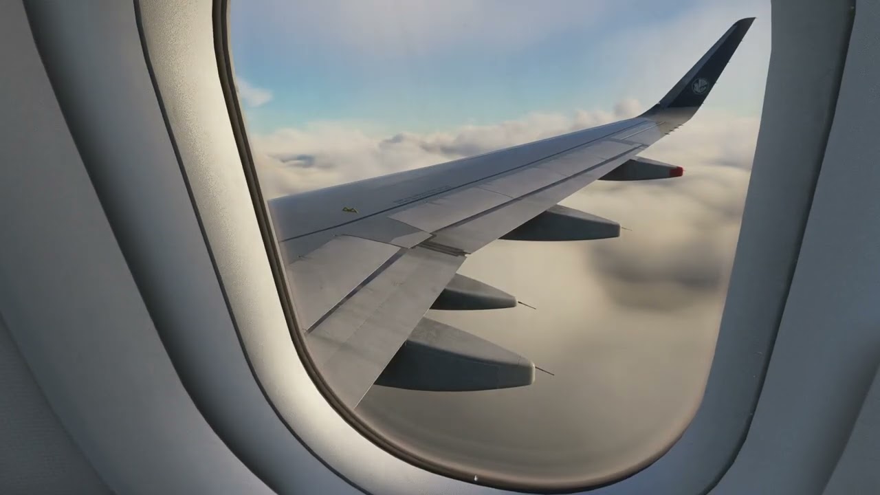 ATTERRISSAGE A PARIS CDG ILS 27R A320SL AFR