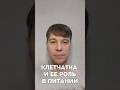 Клетчатка и её роль в питании