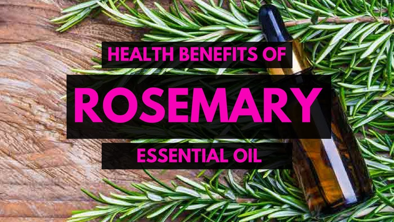 Top 10 Uses of Rosemary Oil Essential Oils Natural Cures Rosemary