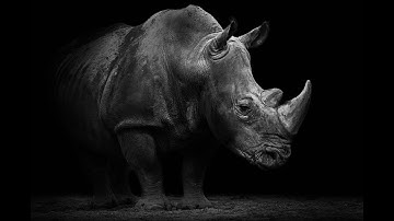 Zwift - ZRL: City Showdown - London Loop Reverse - Indigo - D1