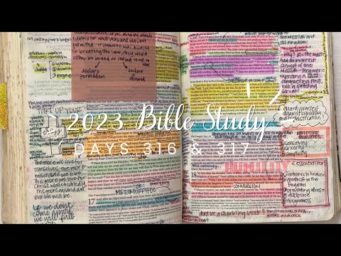 Study the Bible in One Year: DAYS 316 & 317  Matthew 27, Mark 15, Luke 23, John 18-19