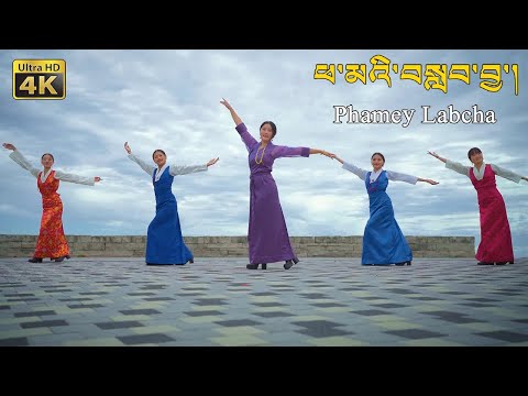 New Tibetan Song 2023 Phamey Labcha ཕམའབསབབ By Lhamo Tso ལམམཚ New Tibetan Song 2023 Phamey Labcha ཕམའབསབབ By Lhamo Tso ལམམཚ