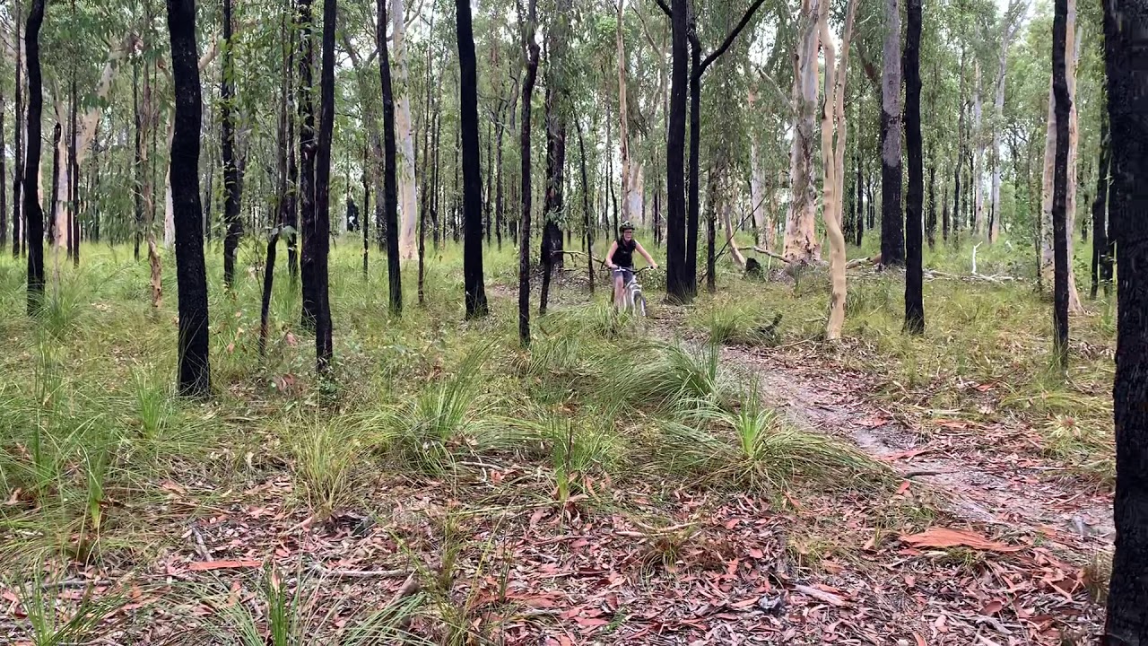 Wyee Point Mtb - Proving Ground trail