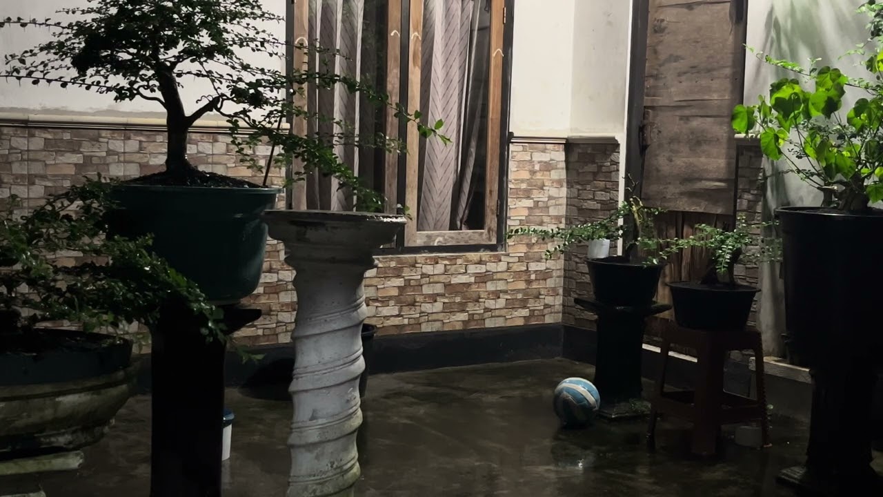 Rainy Night at Home ⛈️ Real Phone recording | Cozy ASMR for Sleep