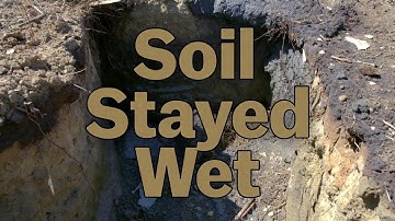 The Ancient Drought Trick That Modern Gardeners Completely Forgot