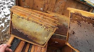 Ошибки начинающих пчеловодов/Пчеловодство