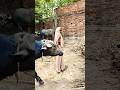 एक दिन जाए की परी सब कुछ भुला के #viral #nirgun