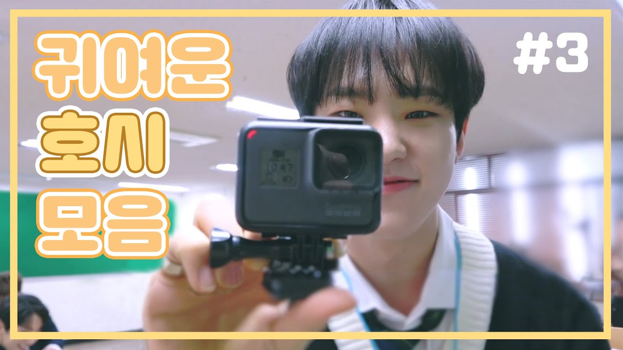 [세븐틴] 귀여운 호시 모음 3탄