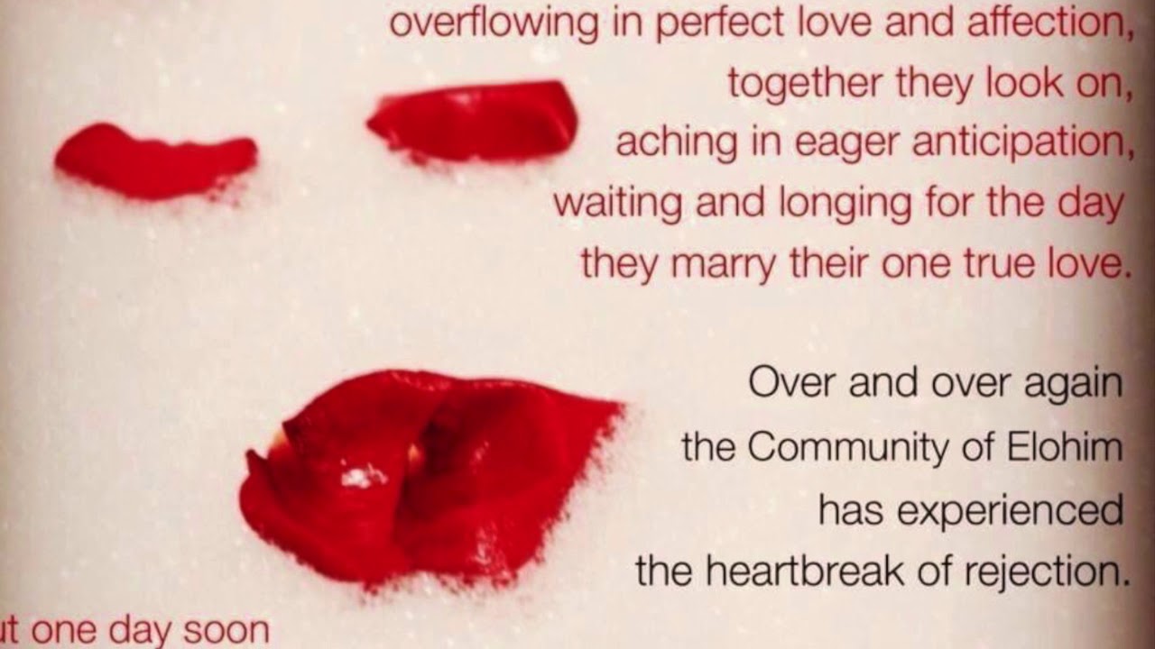 15 short extracts from The Rescue Mission: The Bible As We've Never Experienced It Before