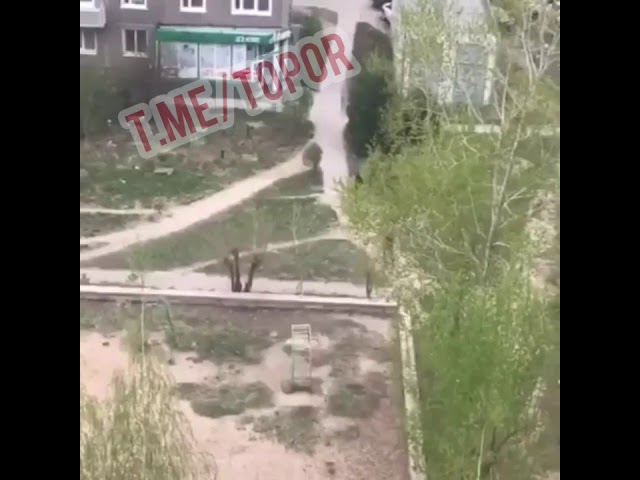 Как избежать штрафа за нарушение самоизоляции