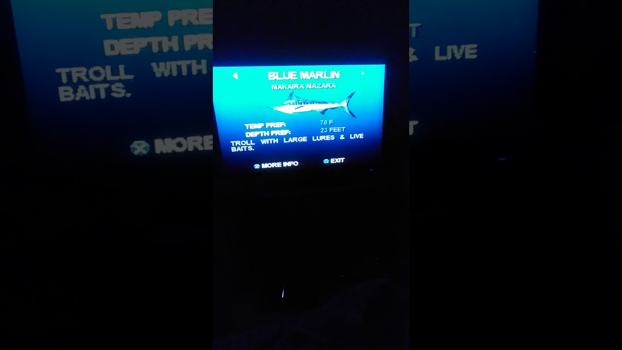 salt water sport fishing_PS1