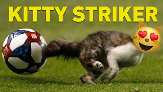 Cat Runs On Soccer Field & Almost Scores a Goal!