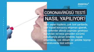 coronavirusu testi nasil yapilir youtube