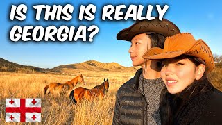 CAMPING with HORSES in the Mountains Sleeping in a Tent Best Experience in Georgia