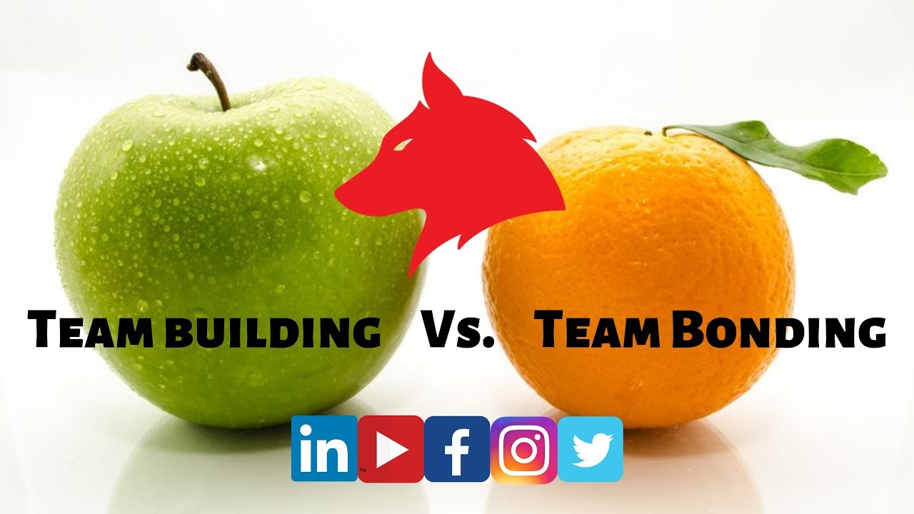 Team Building vs Team bonding - What is the difference? - Corporate Team Building
