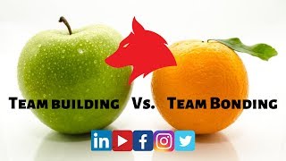 Team Building vs Team bonding - What is the difference? - Corporate Team Building