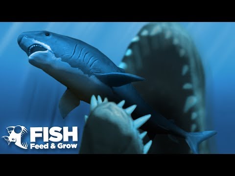 It Didn't Stand A Chance! - Fish Feed Grow