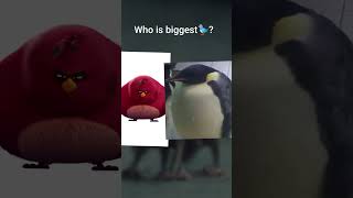 Terrance is big bird? #shorts#memes#meme