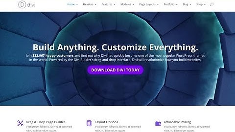 Websites Built by Divi WordPress Theme